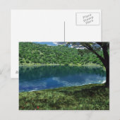 サイド深いウォーターズハガキ ポストカード (正面/裏面)