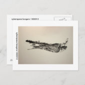 サイバースペースのboogers 1302012 ポストカード (正面/裏面)