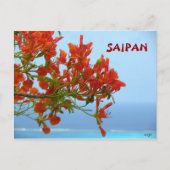 サイパンの炎が青い海に咲く ポストカード (正面)
