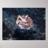 サイフォン閃光 ポスター (正面)