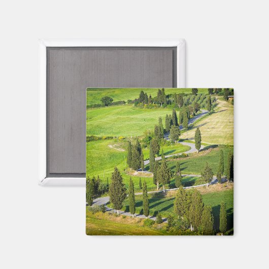サイプレスの巻線の道路、トスカーナの正方形の磁石 マグネット (正面/裏面)
