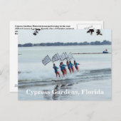 サイプレスガーデンズフロリダガールズウォータースキーポストカード ポストカード (正面/裏面)