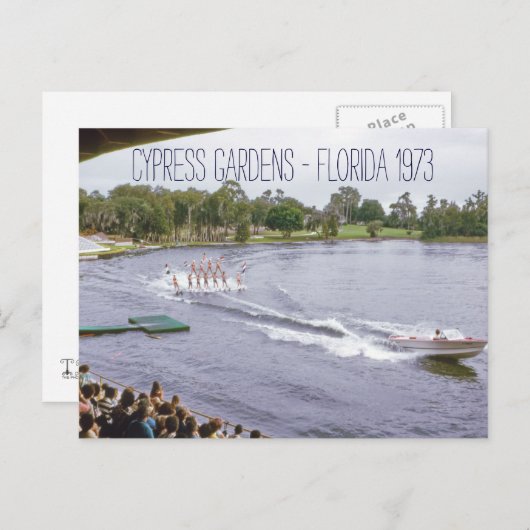 サイプレスガーデンズ ウォーター スキー ショー ヴィンテージ風 ポストカード (正面/裏面)