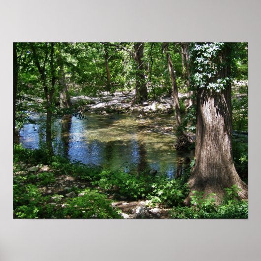 サイプレスクリークポスター ポスター (正面)