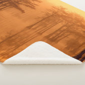 サイプレスツリーズジョージスミス州パーク シェルパブランケット (3/4)