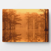 サイプレスツリーズジョージスミス州パーク フォトプラーク (正面)