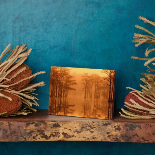 サイプレスツリーズジョージスミス州パーク フォトプラーク (側面)