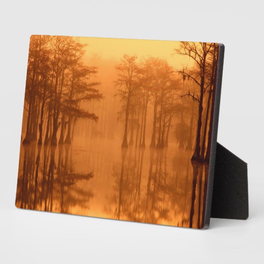 サイプレスツリーズジョージスミス州パーク フォトプラーク (側面)