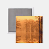 サイプレスツリーズジョージスミス州パーク マグネット (正面/裏面)