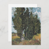 サイプレスツリーズバイヴァンゴッホ シーズンカード (正面/裏面)