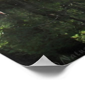 サイプレス川Aパーツポスター–60x40以下 ポスター (角)