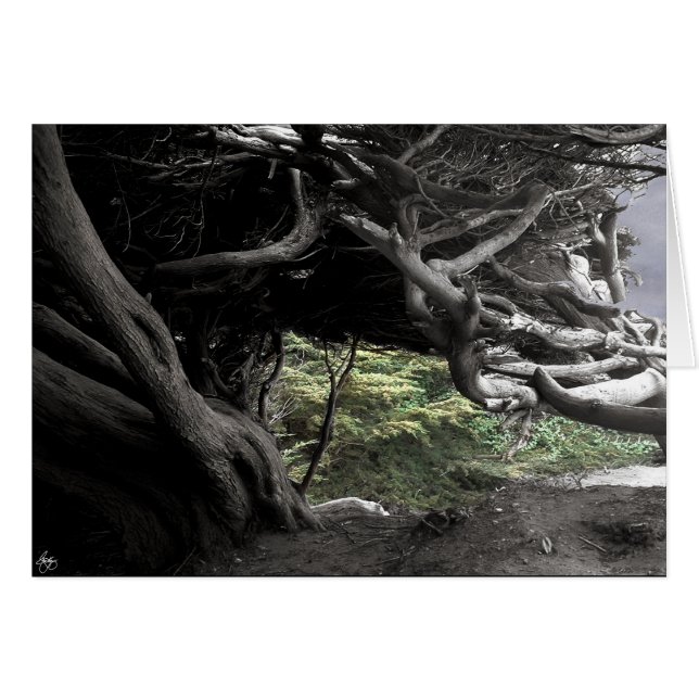 サイプレス骨格 – カード (正面横)