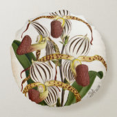 サイプレピジウムストネイヴィンテージリンデニアオーキッド ラウンドクッション (裏面)