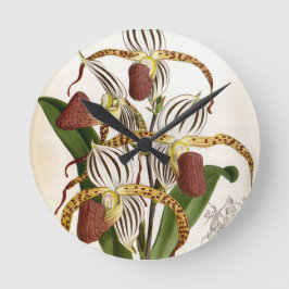 サイプレピジウムストネイヴィンテージリンデニアオーキッド ラウンド壁時計