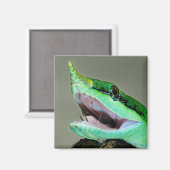 サイヘビ マグネット (正面/裏面)