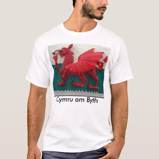 サイムンアムバイTシャツ Tシャツ (正面)