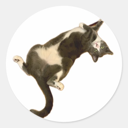 サイモンステッ遊カー – 's! ラウンドシール (正面)