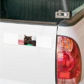 サイモン バンパーステッカー (トラック上)