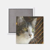 サイラス磁石003 マグネット (正面/裏面)