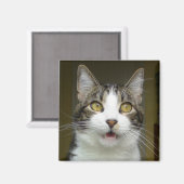 サイラス衝撃磁石0001 マグネット (正面/裏面)