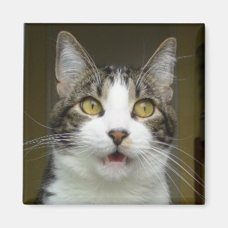 サイラス衝撃磁石0001 マグネット