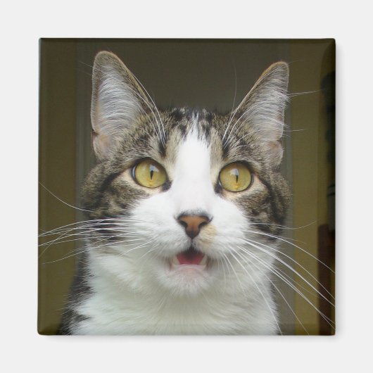 サイラス衝撃磁石0001 マグネット (正面)