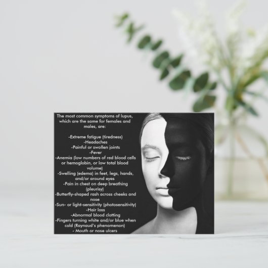 サイレントパートナーであるルプス... ポストカード (スタンド正面)