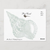 サイレン ポストカード (裏面)