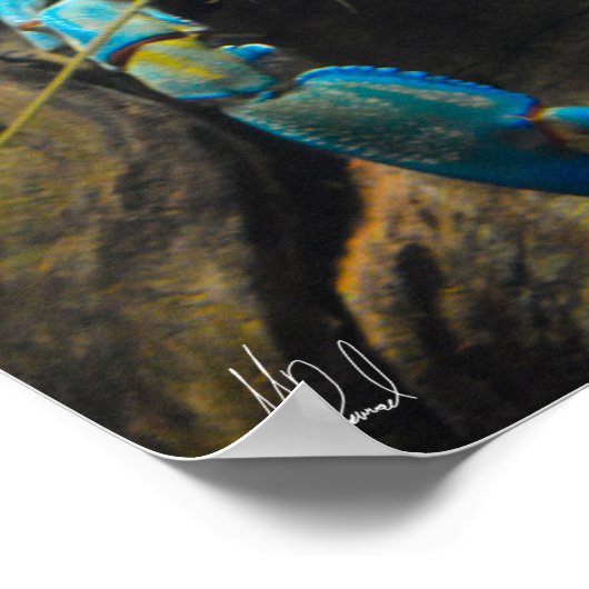 サイン入りスムーズなヤビーポスター ポスター (角)