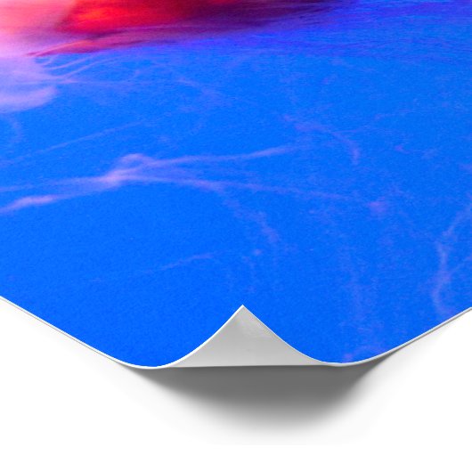 サイン入り赤クラゲ ポスター (角)