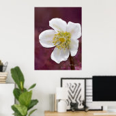 サイン入り ハイポリ ウィンター ローズ アート プリント (ホームオフィス)