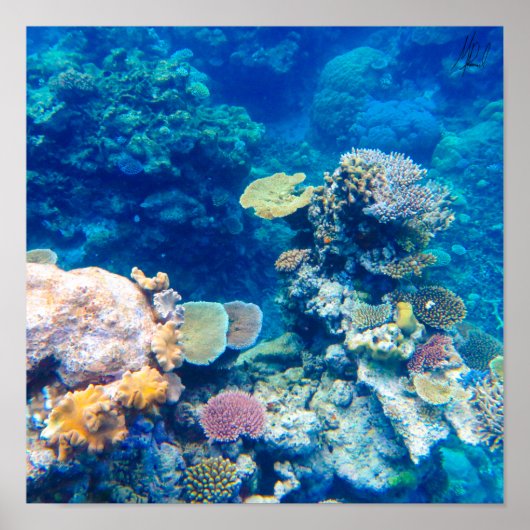 サイン済みグレートバリアリーフのサンゴ - #1 ポスター (正面)