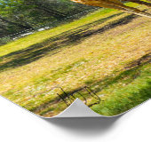 サイン済みタロンガ西プレインズズツォーンドボ – Giraffes ポスター (角)