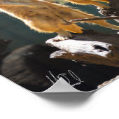 サイン済みタロンガ西プレインズズツォーンドボ – Meerkat ポスター (角)