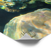 サイン素晴らしバリアリーフサンゴ – #2 ポスター (角)