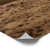 サイ動物自然威厳のある野生 ポスター (角)