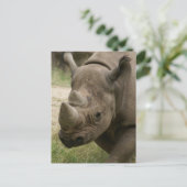 サイ歩く ポストカード (スタンド正面)