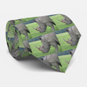 サイ ネクタイ (ロール)