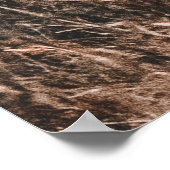 サイ ポスター (角)