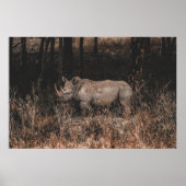 サイ ポスター (正面)