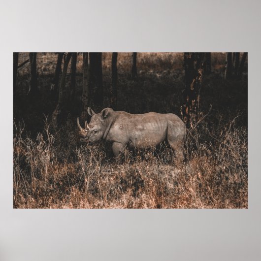 サイ ポスター (正面)