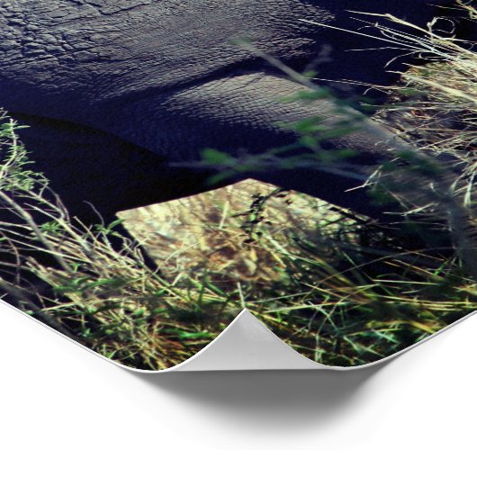 サイ ポスター (角)