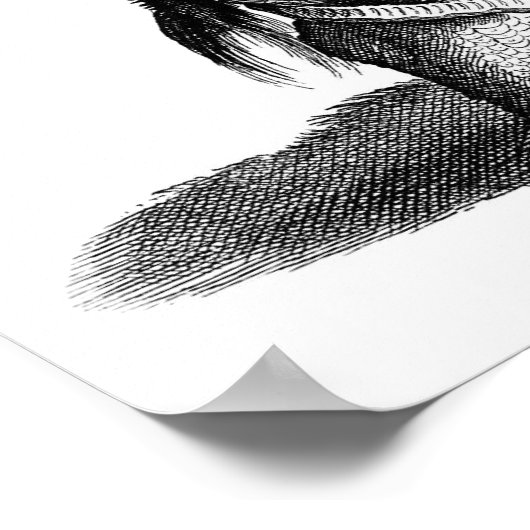 サイ ポスター (角)