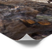 サイ ポスター (角)