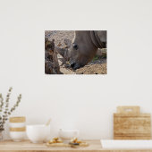 サイ ポスター (キッチン)