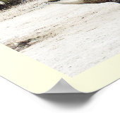 サイ ポスター (角)