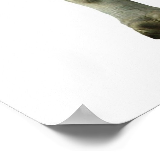 サイ ポスター (角)