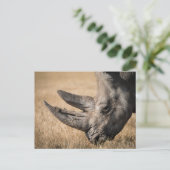 サイ ポストカード (スタンド正面)