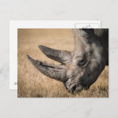 サイ ポストカード (正面/裏面)