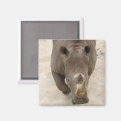 サイ マグネット (正面/裏面)